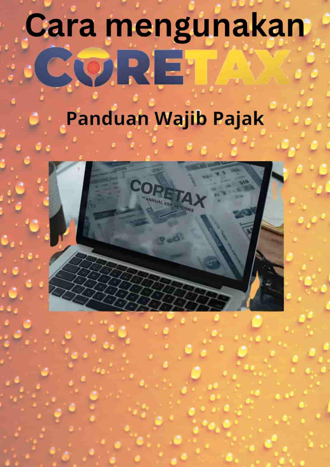 Cara mengunakan Coretax