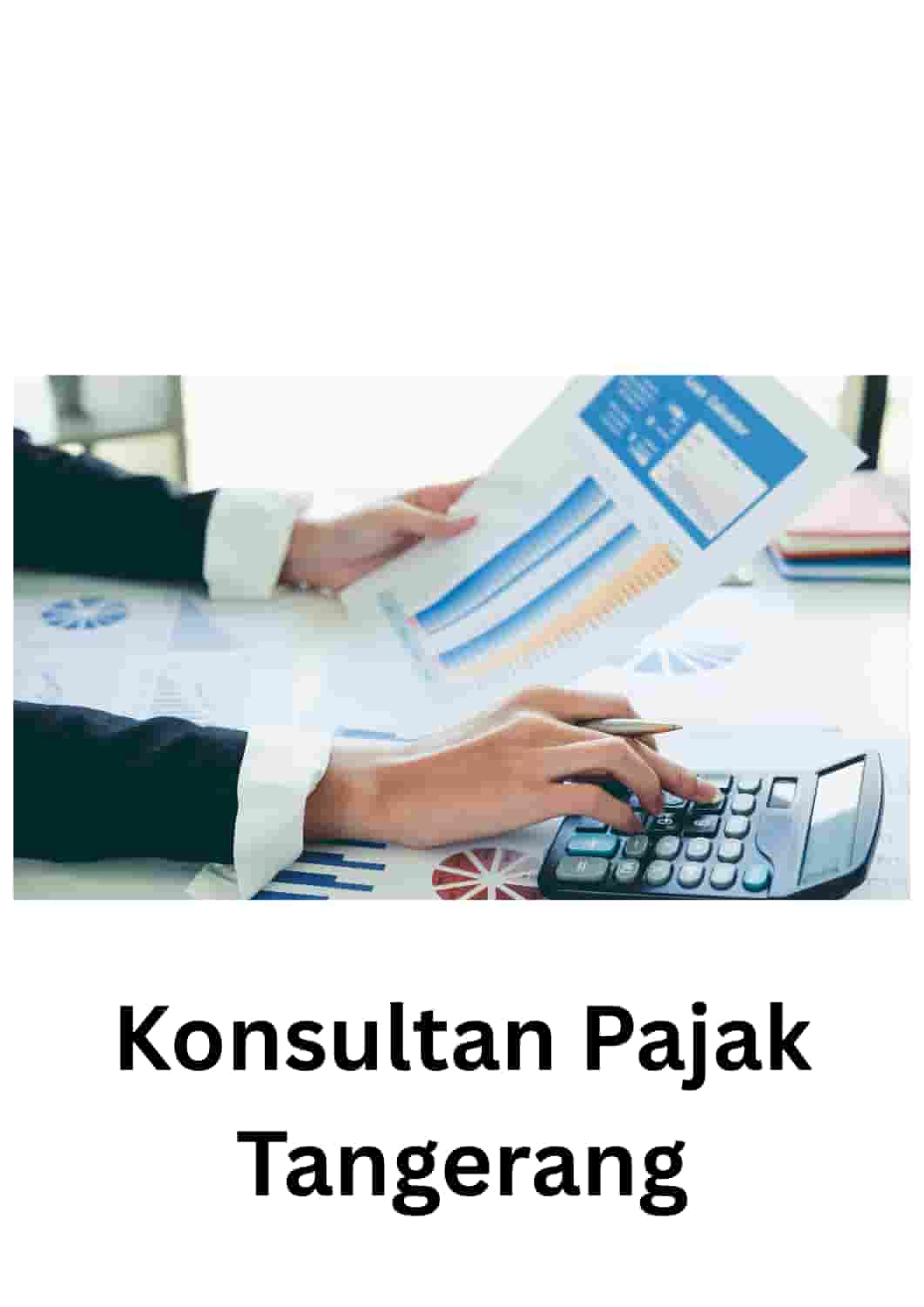konsultan pajak tangerang